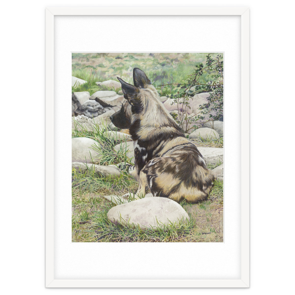 African Painted Dog I