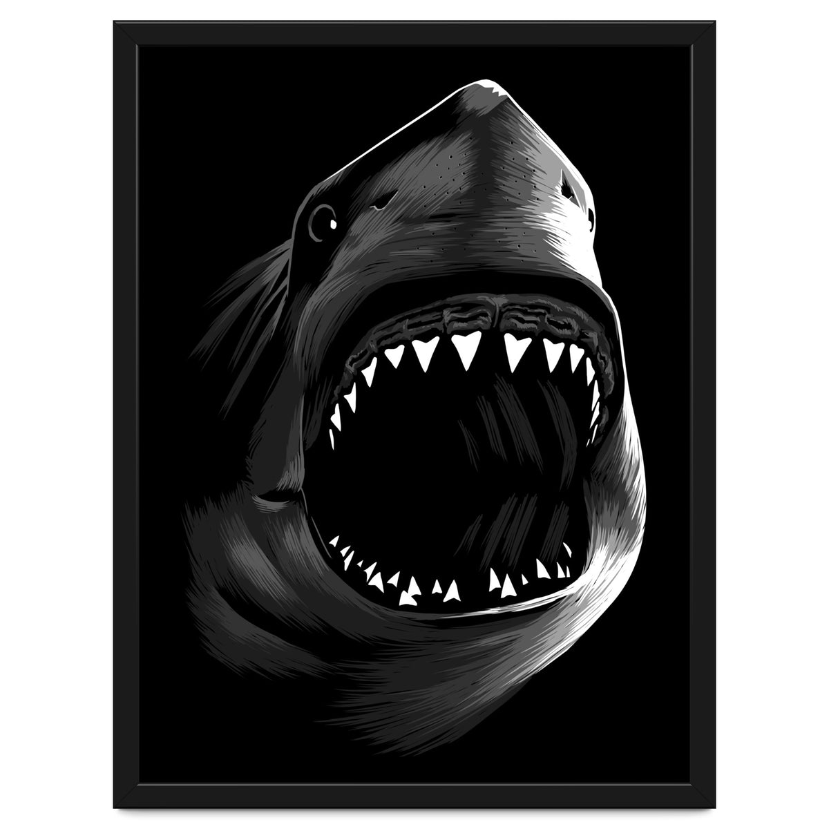 Megalodon