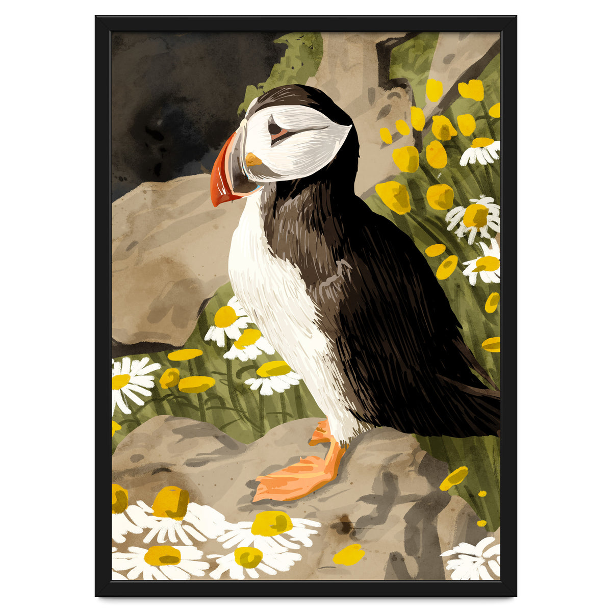 Puffin