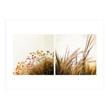 Adagio (Print Only) thumbnail
