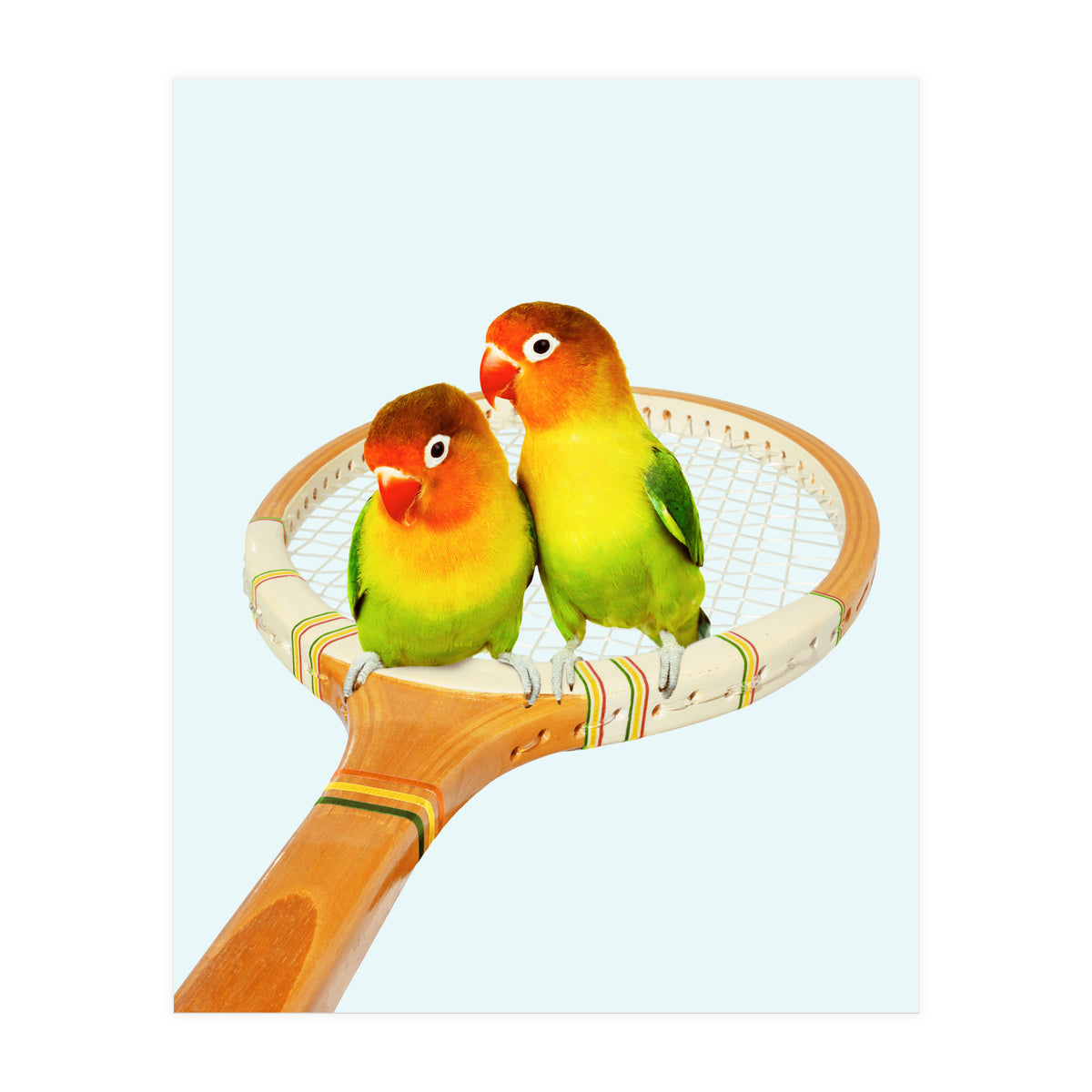 Retro Birds (Print Only)