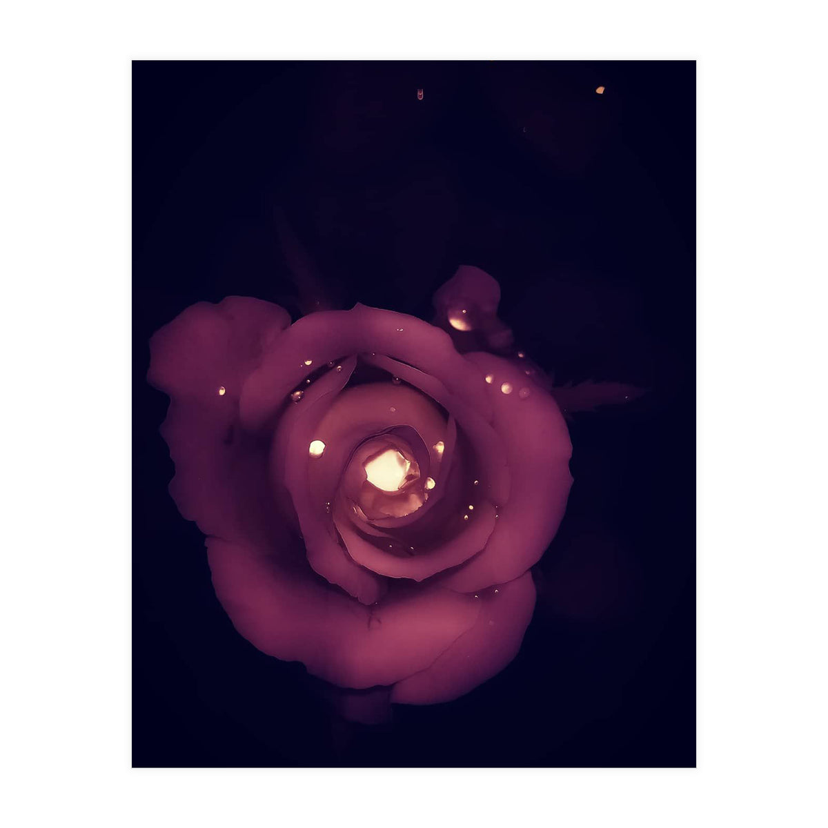 Red Sparkling Rose (Print Only)