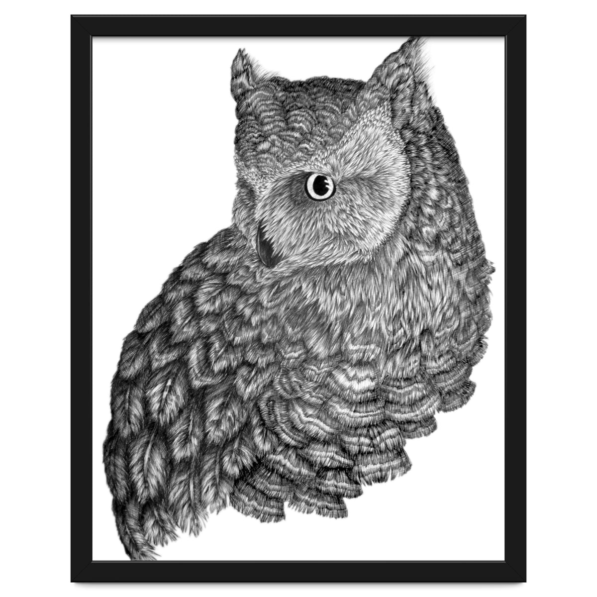 A Friend For Forsythe