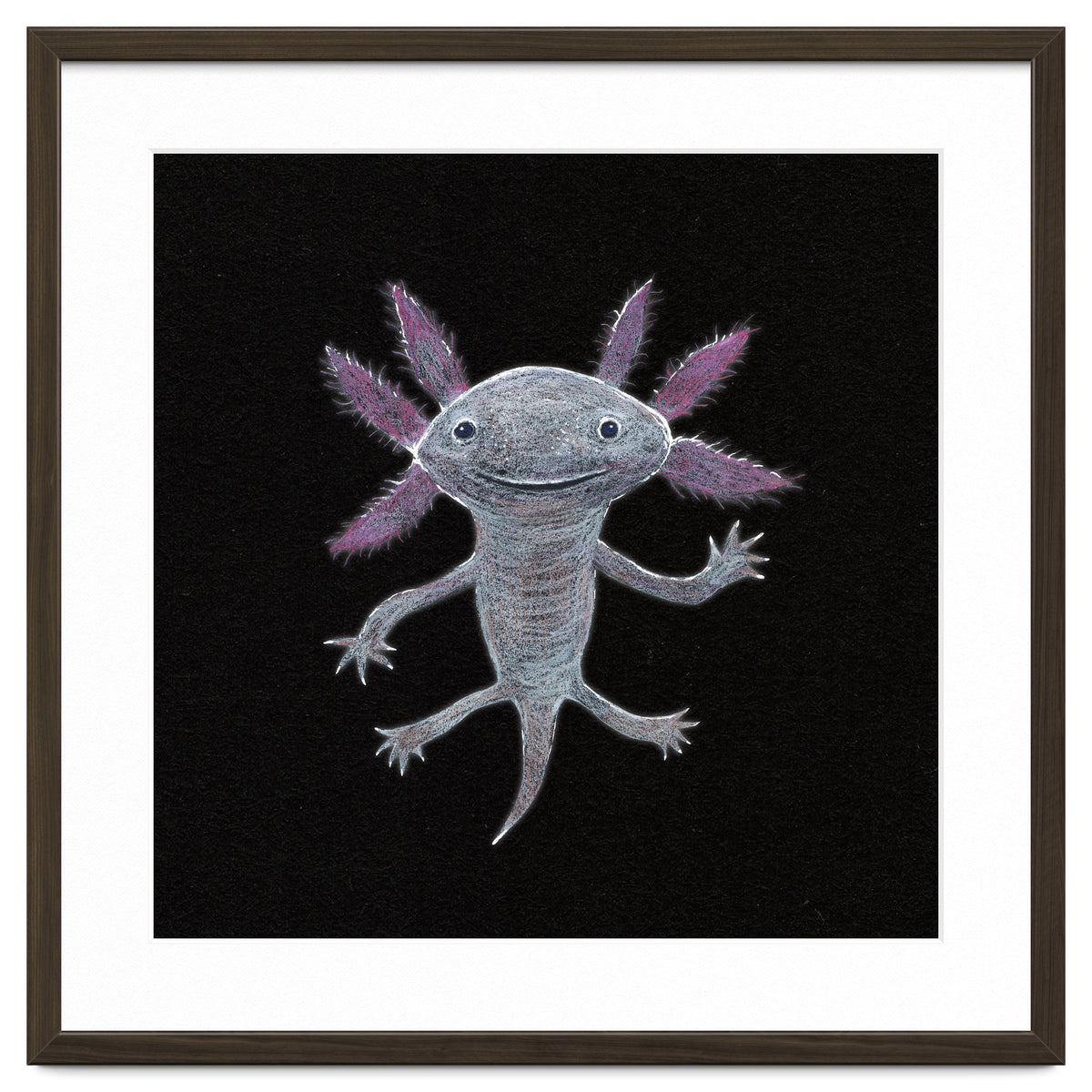 Axolotl