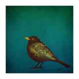 Camouflage: The Blackbird (Print Only) thumbnail
