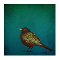 Camouflage: The Blackbird (Print Only)