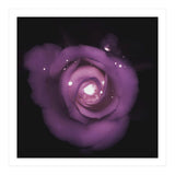 Glittering Rose (Print Only) thumbnail
