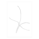 Seedling Leaning Right (Print Only) thumbnail