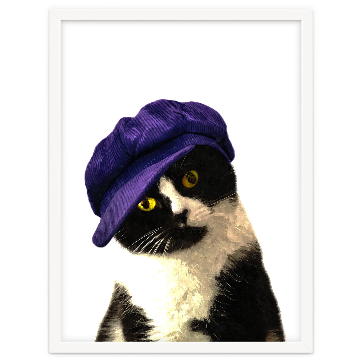 Cat Blue Hat