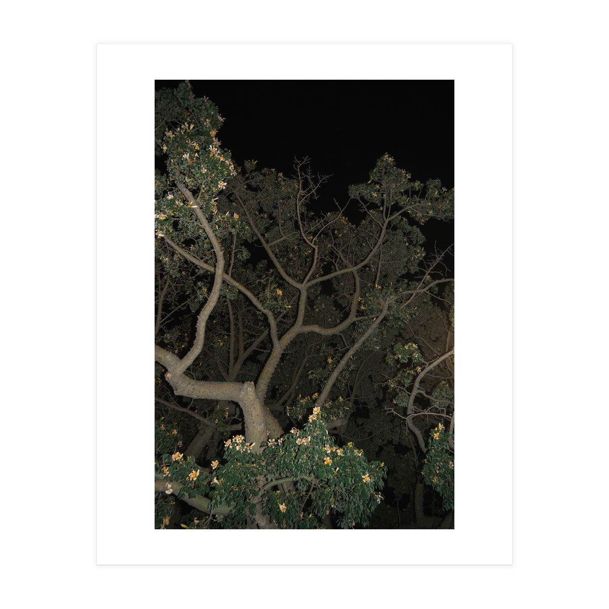 Night in Malaga (Print Only)