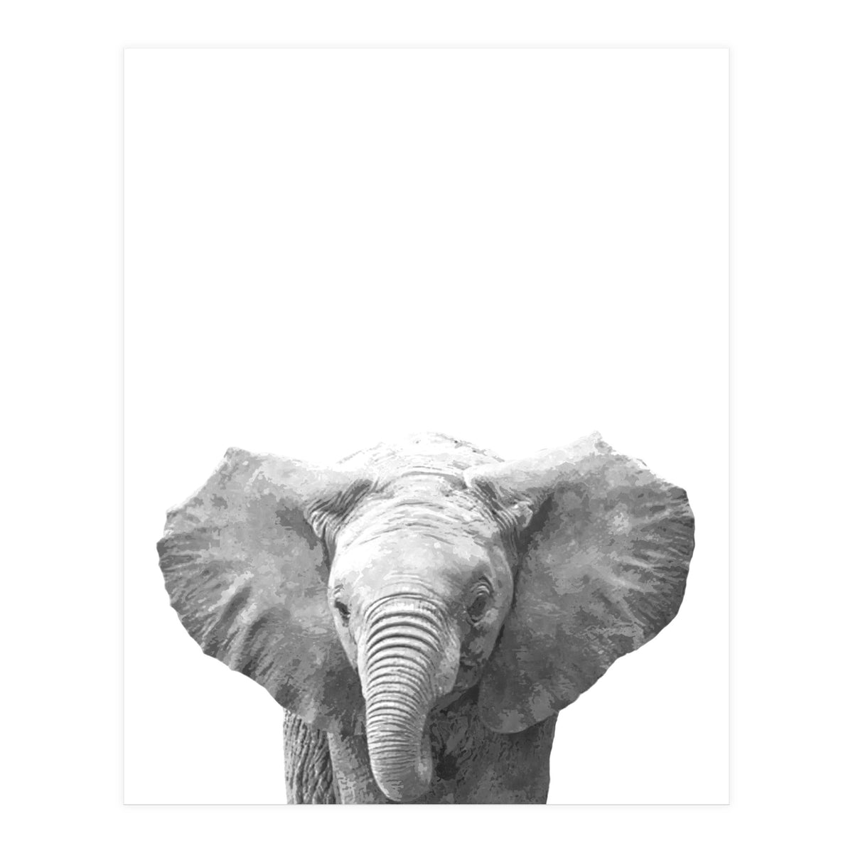 Black and White Baby Elephant  (Print Only)