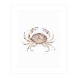Crab (Print Only) thumbnail