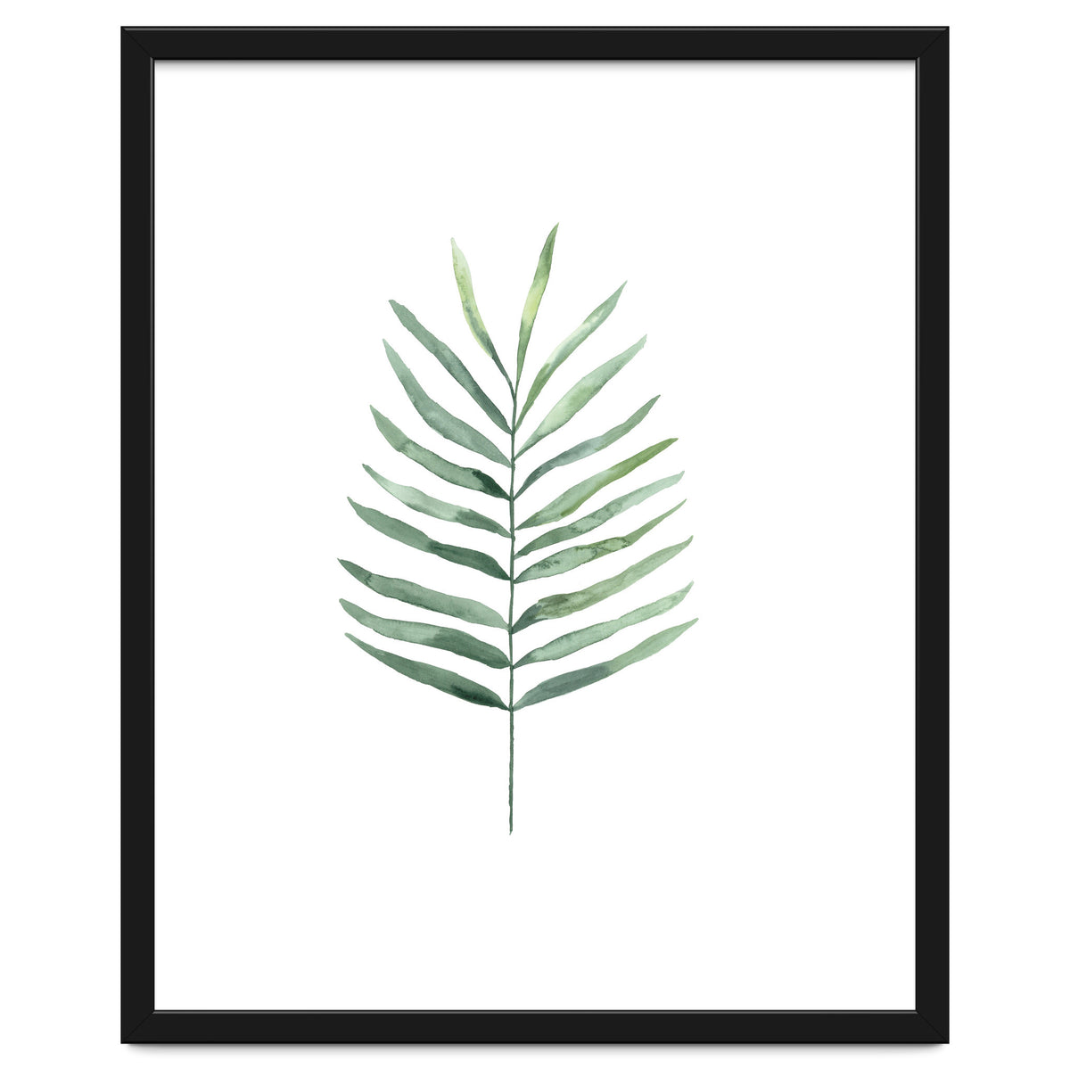 Botanical Illustration Fern