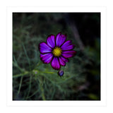 Floral autumn (Print Only) thumbnail