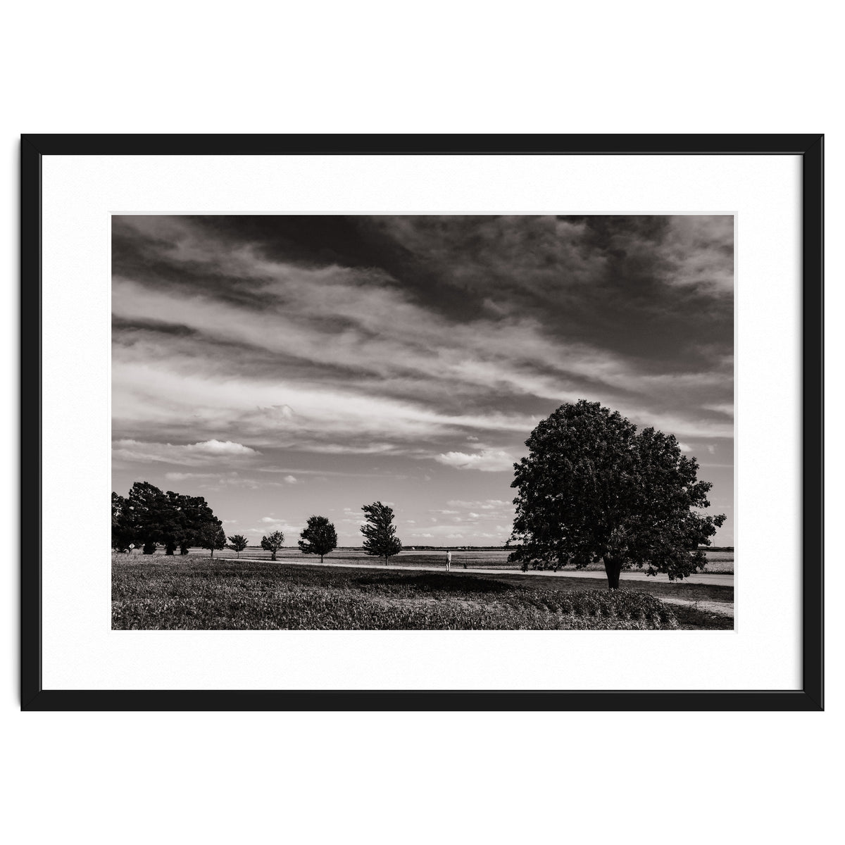 Country Road, Illinois