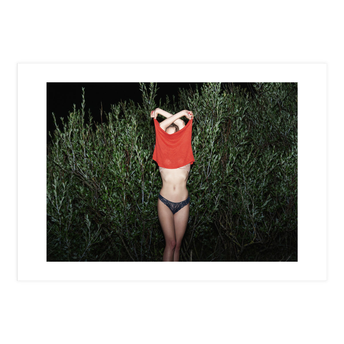 Pomegranate (Print Only)