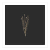Delicate Fynbos Botanicals in Gold and Black - Square (Print Only) thumbnail