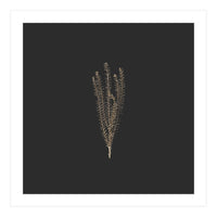 Delicate Fynbos Botanicals in Gold and Black - Square (Print Only)