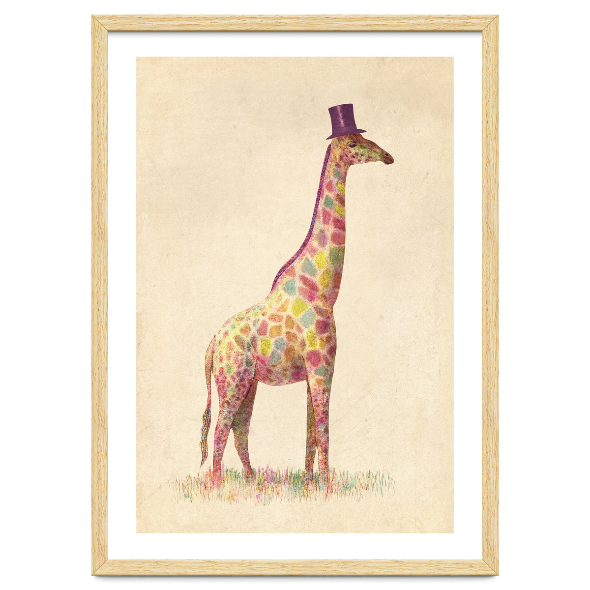Fashionable Giraffe
