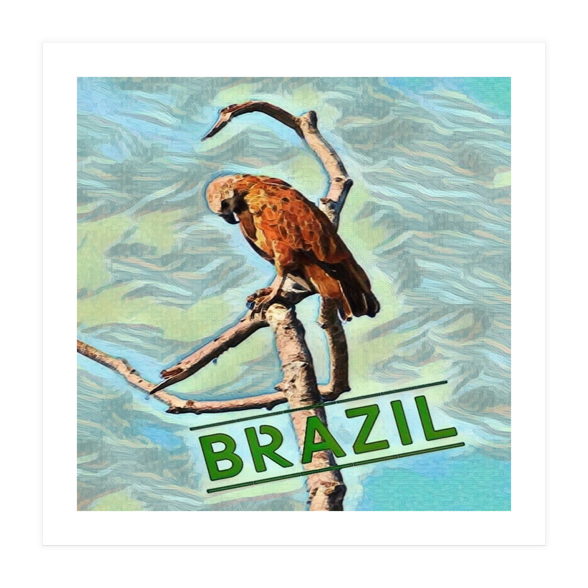 Brazilian resting Eagle (Print Only)