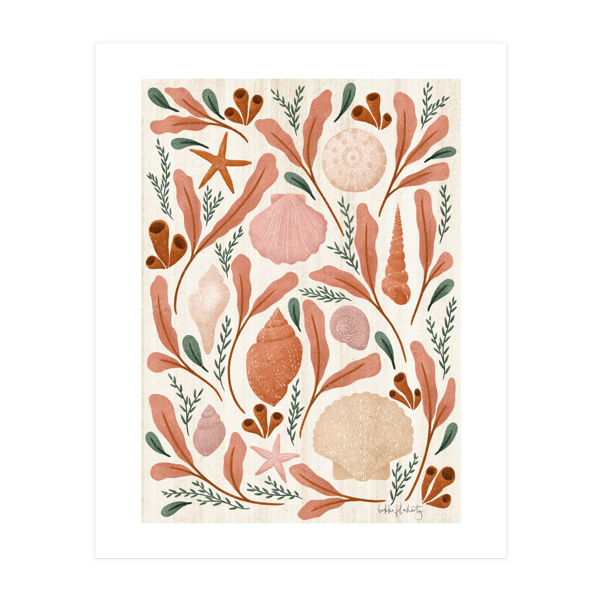 Shells Collection (Print Only)