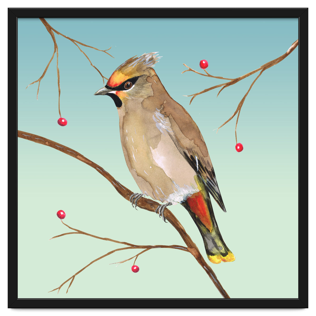 Bohemian waxwing