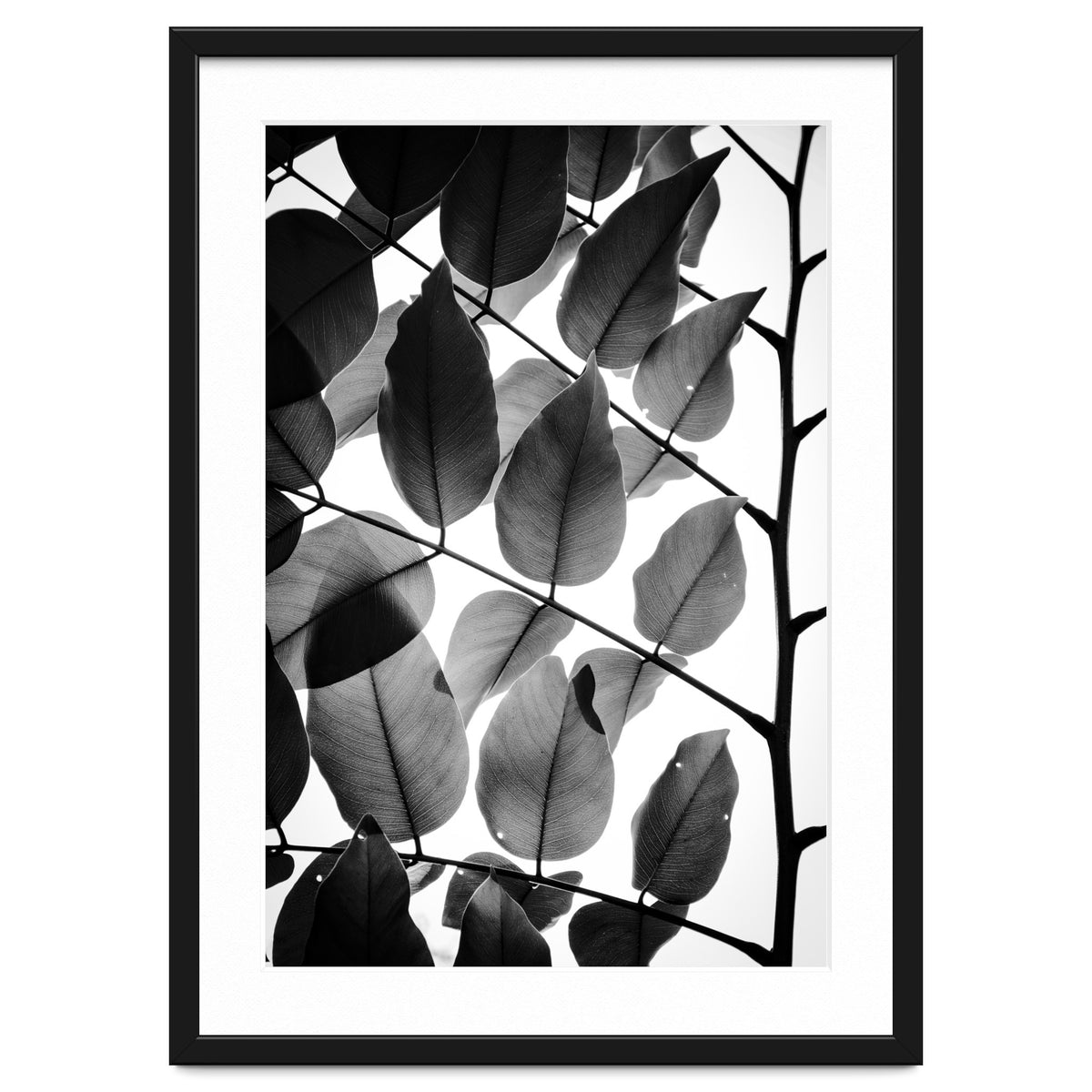 Branches and Leaves II