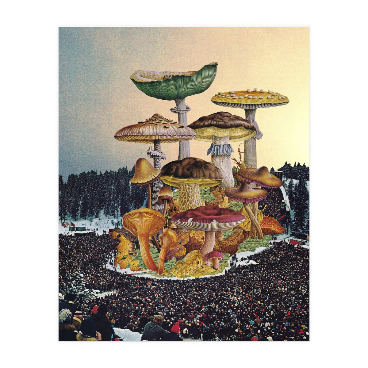 Mushroom Festival (Print Only)