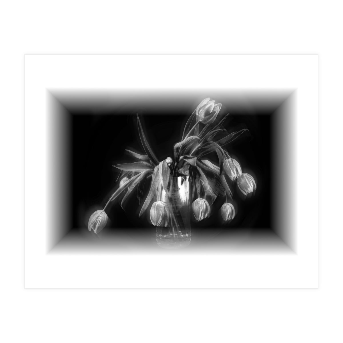 Tulips (Print Only)