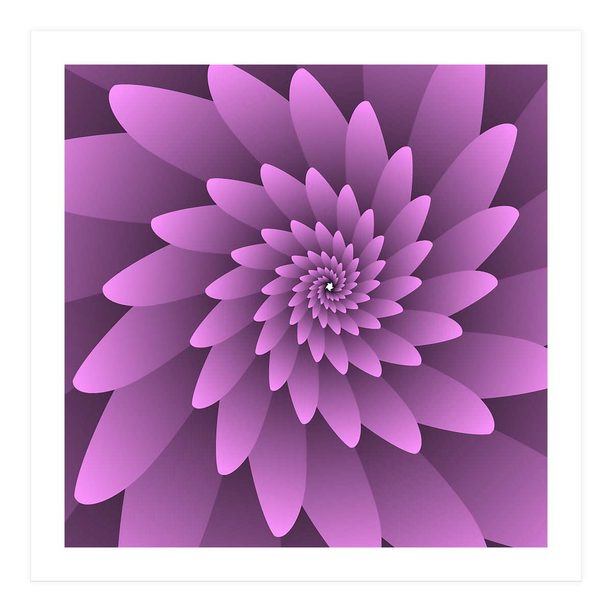 3 D Floral Modern Pink Art (Print Only)
