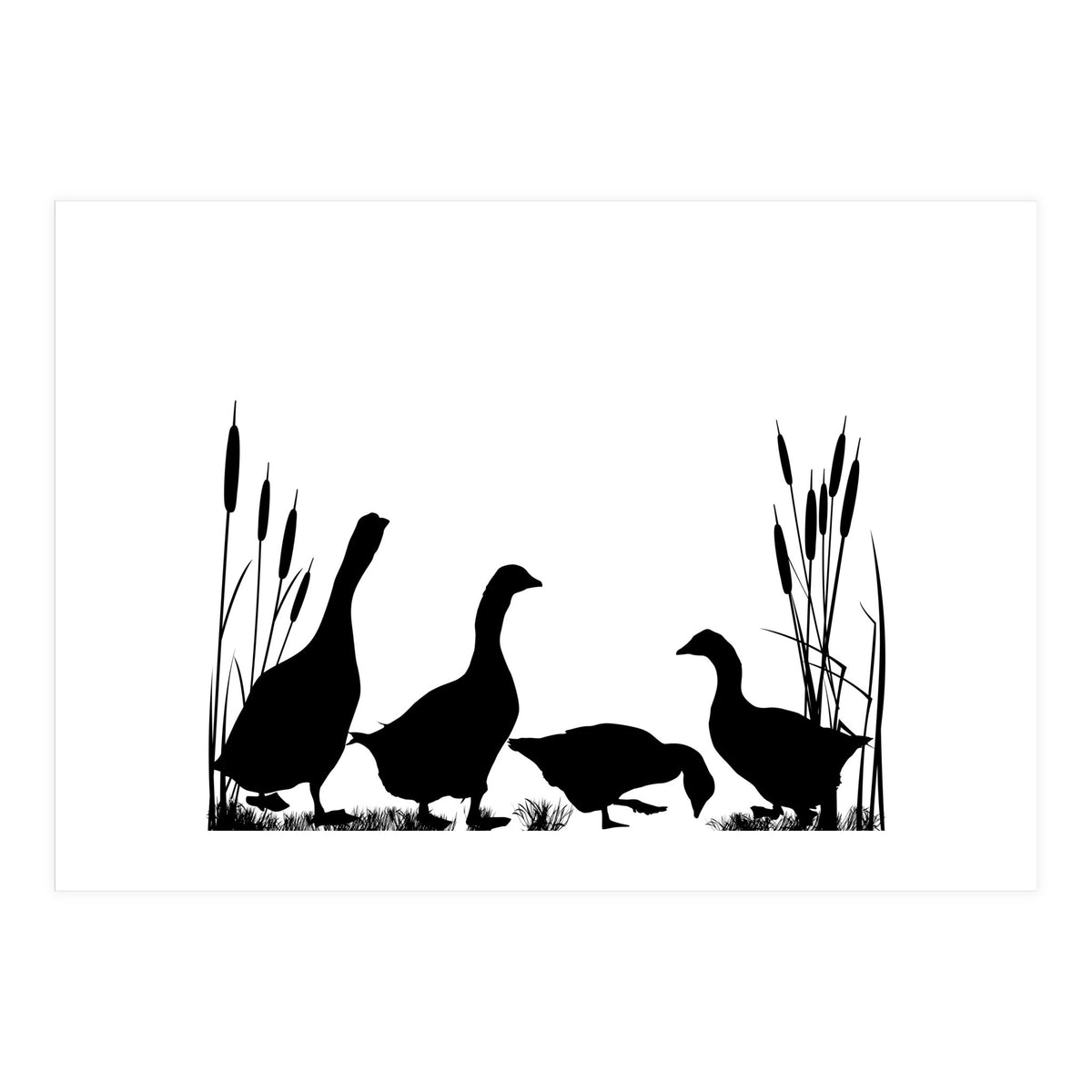 Goose talk (Print Only)