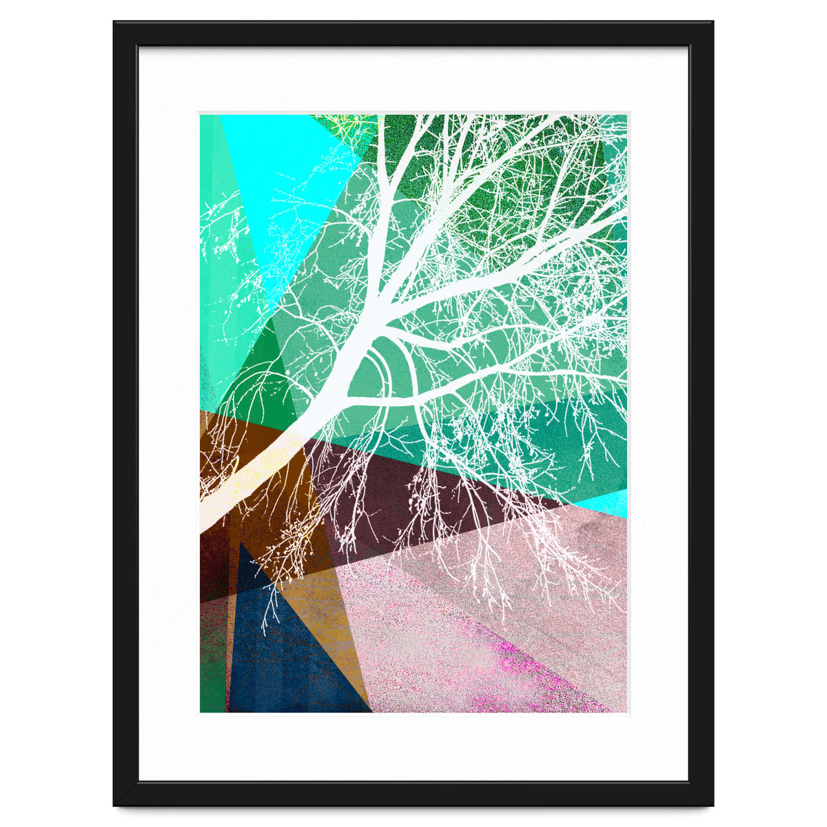 P16-H Trees And Triangles