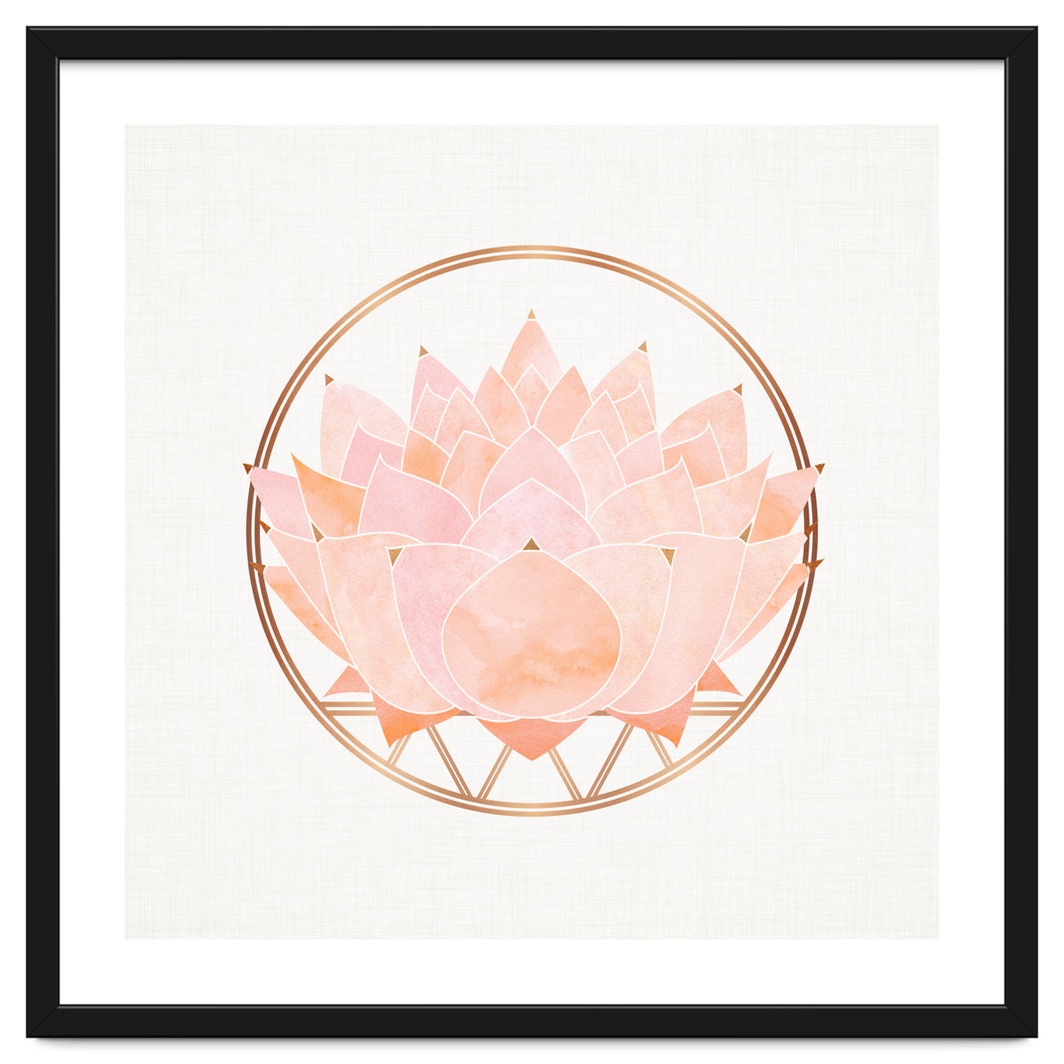 Peach Succulent  Blossom