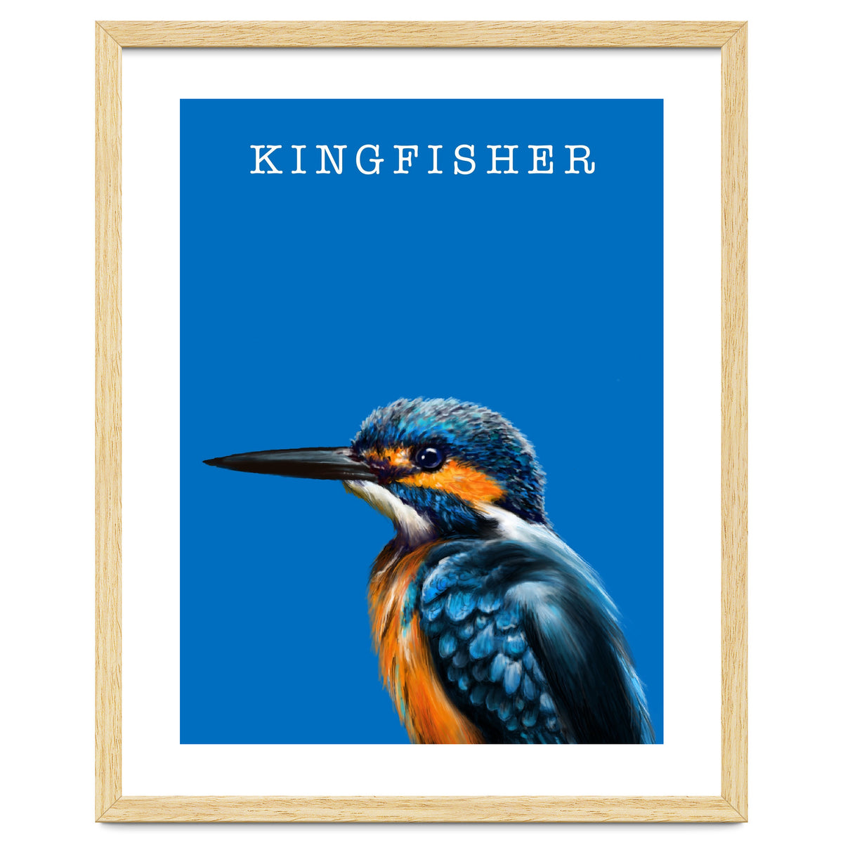 Kingfisher