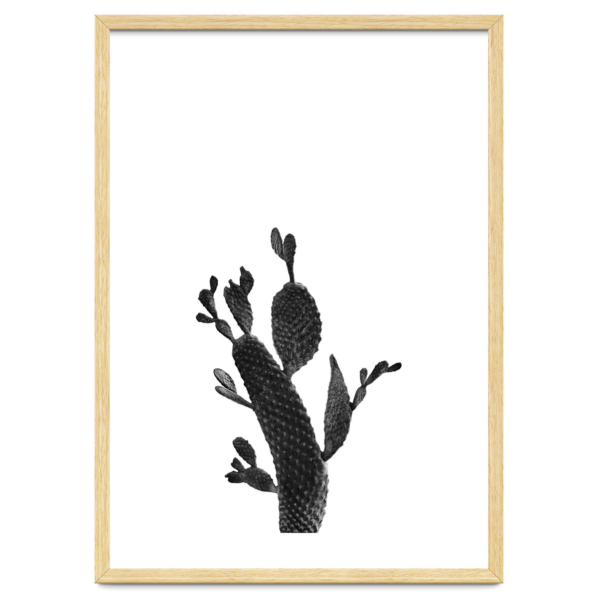 Cactus Black And White 02