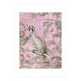 Jungle Cockatoo Pink (Print Only) thumbnail