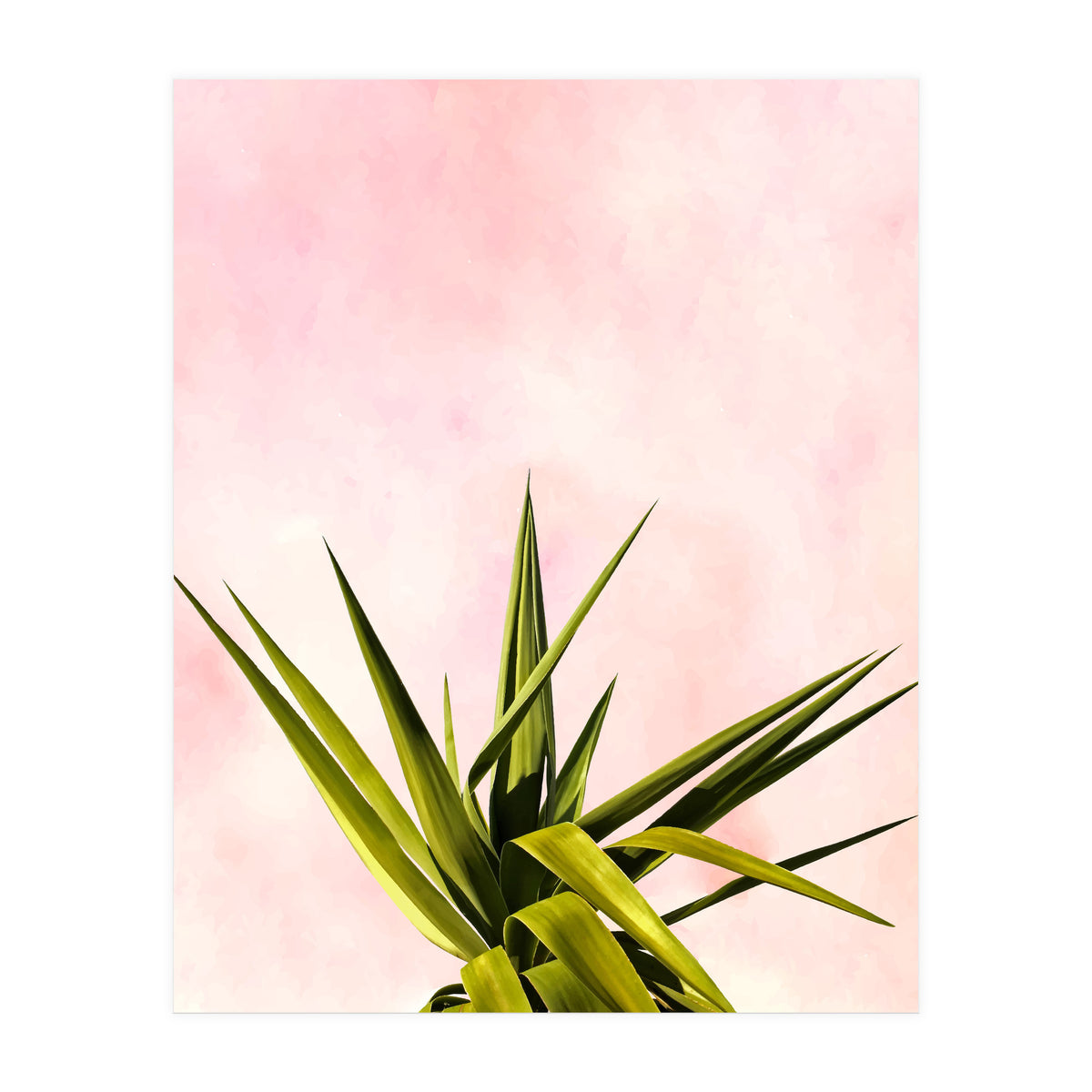 Joy Of Dreams (Print Only)