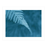 Pteridopsida 1 (Print Only) thumbnail