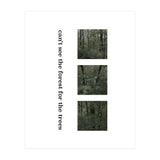 can’t see the forest for the trees (Print Only) thumbnail