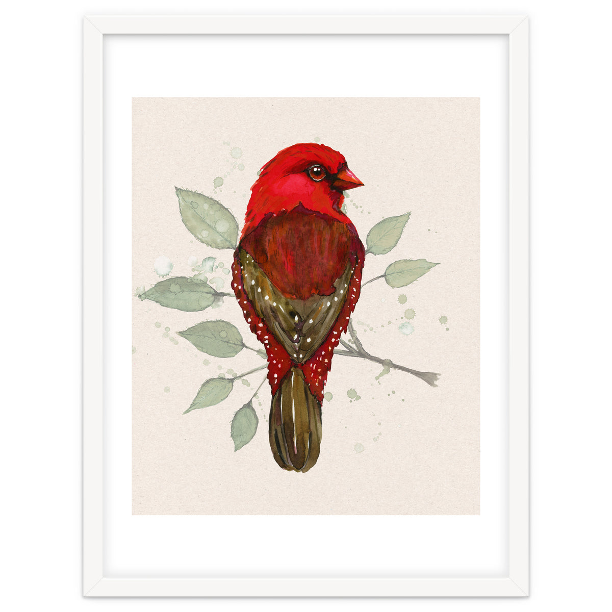 Red avadavat watercolor