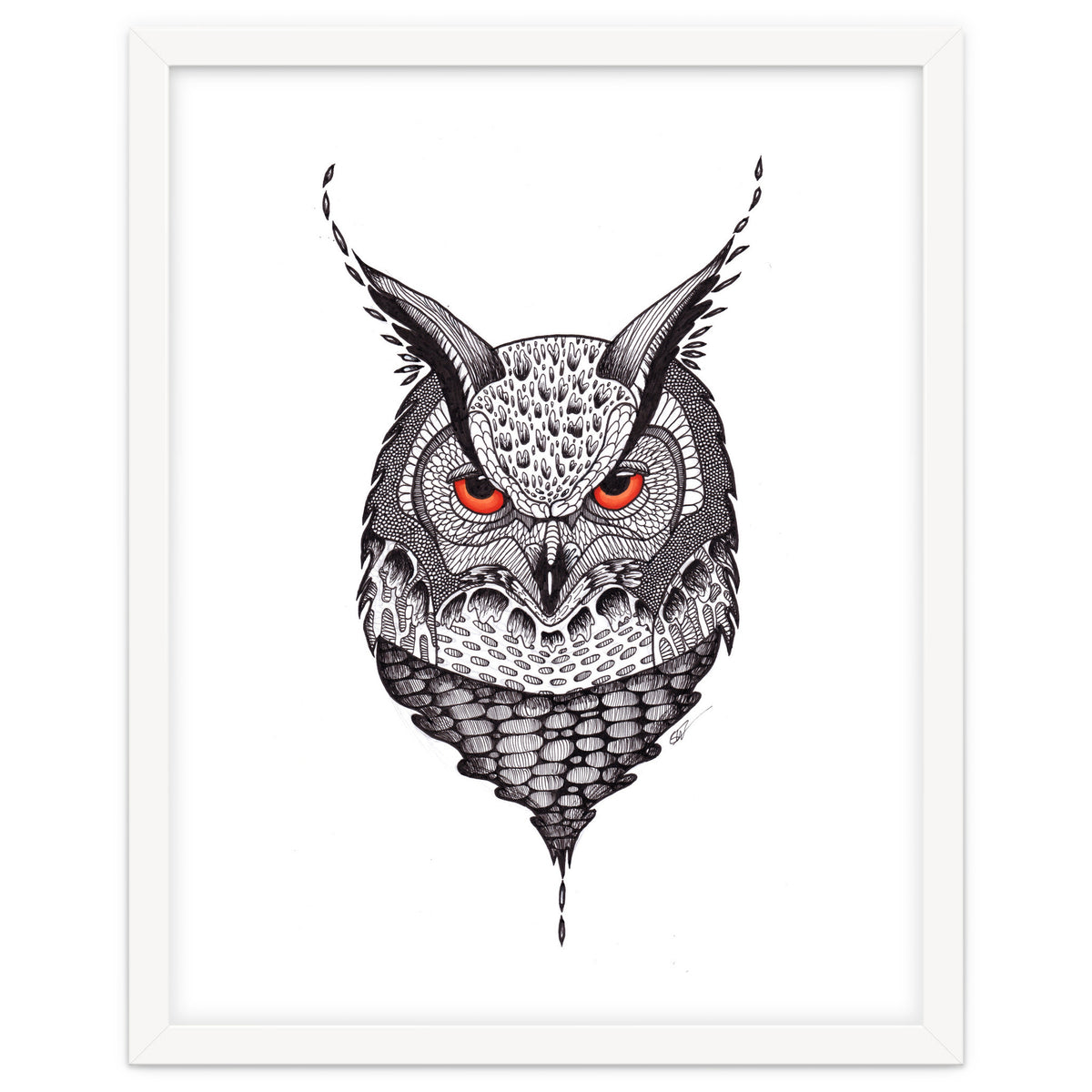 Owl