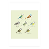 The Tit Family (Print Only) thumbnail