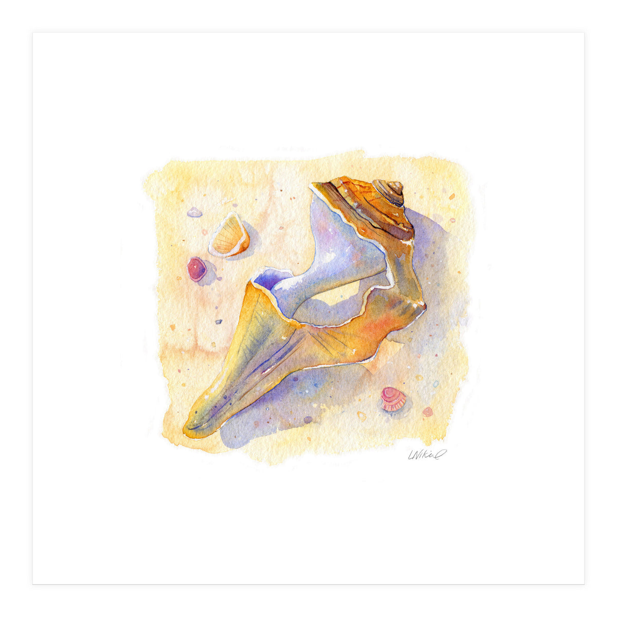 Old Shell (Print Only)