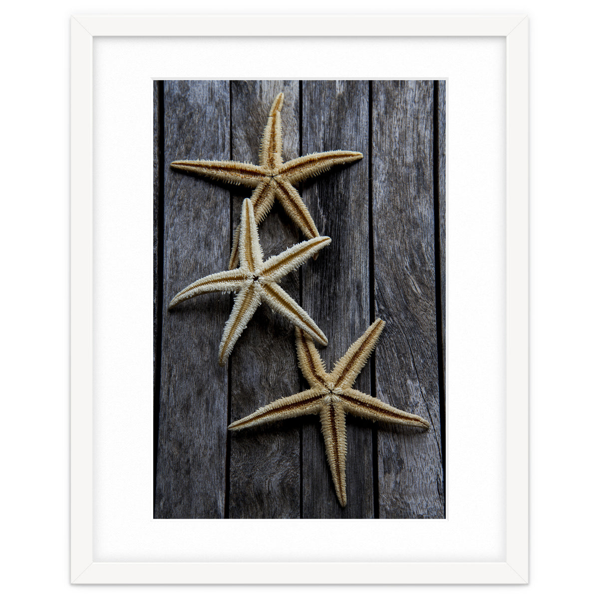 Starfishes in wooden