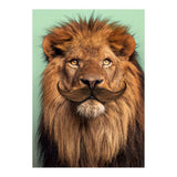 Bearded Lion (Print Only) thumbnail