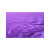 Nature (Print Only) thumbnail