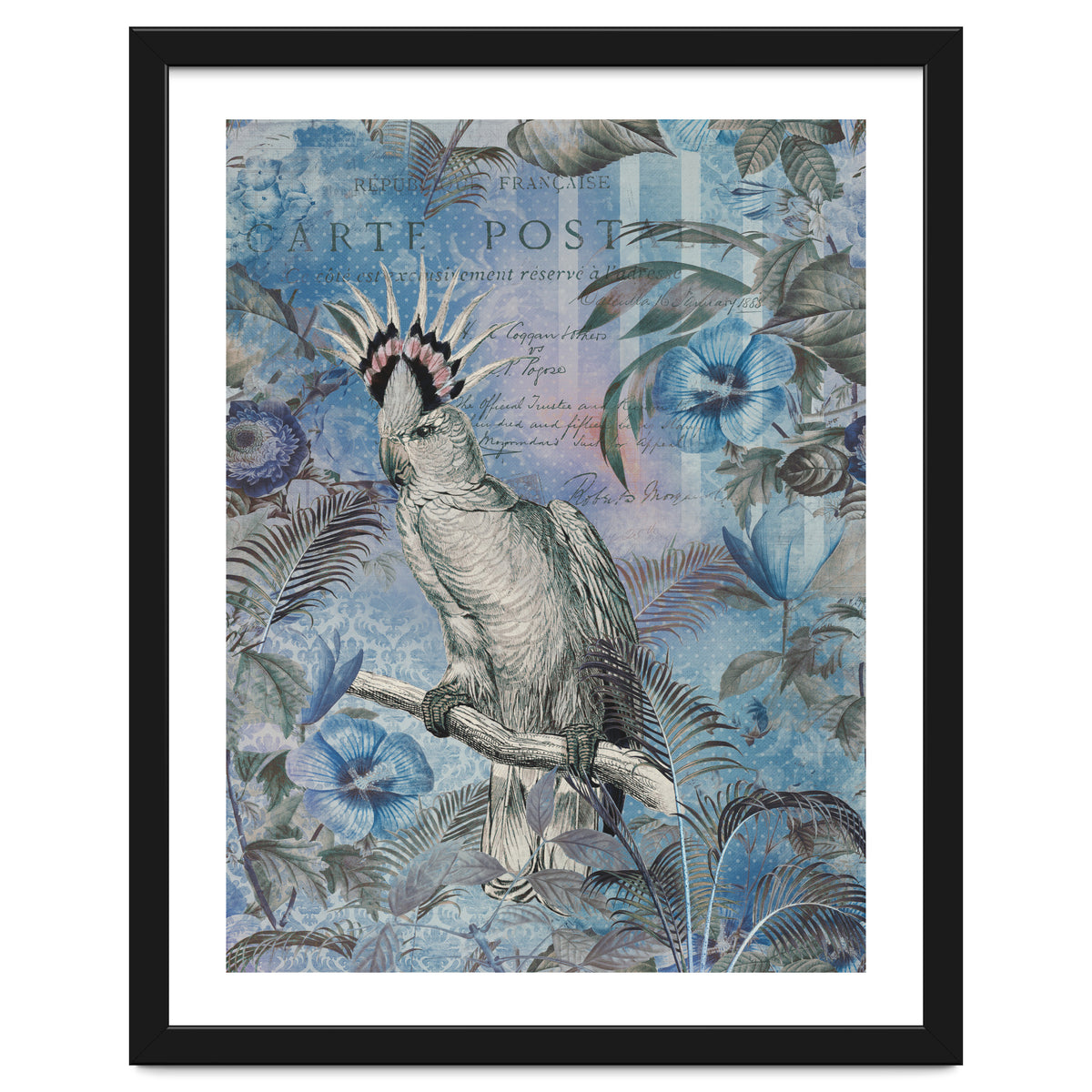 Jungle Cockatoo Blue