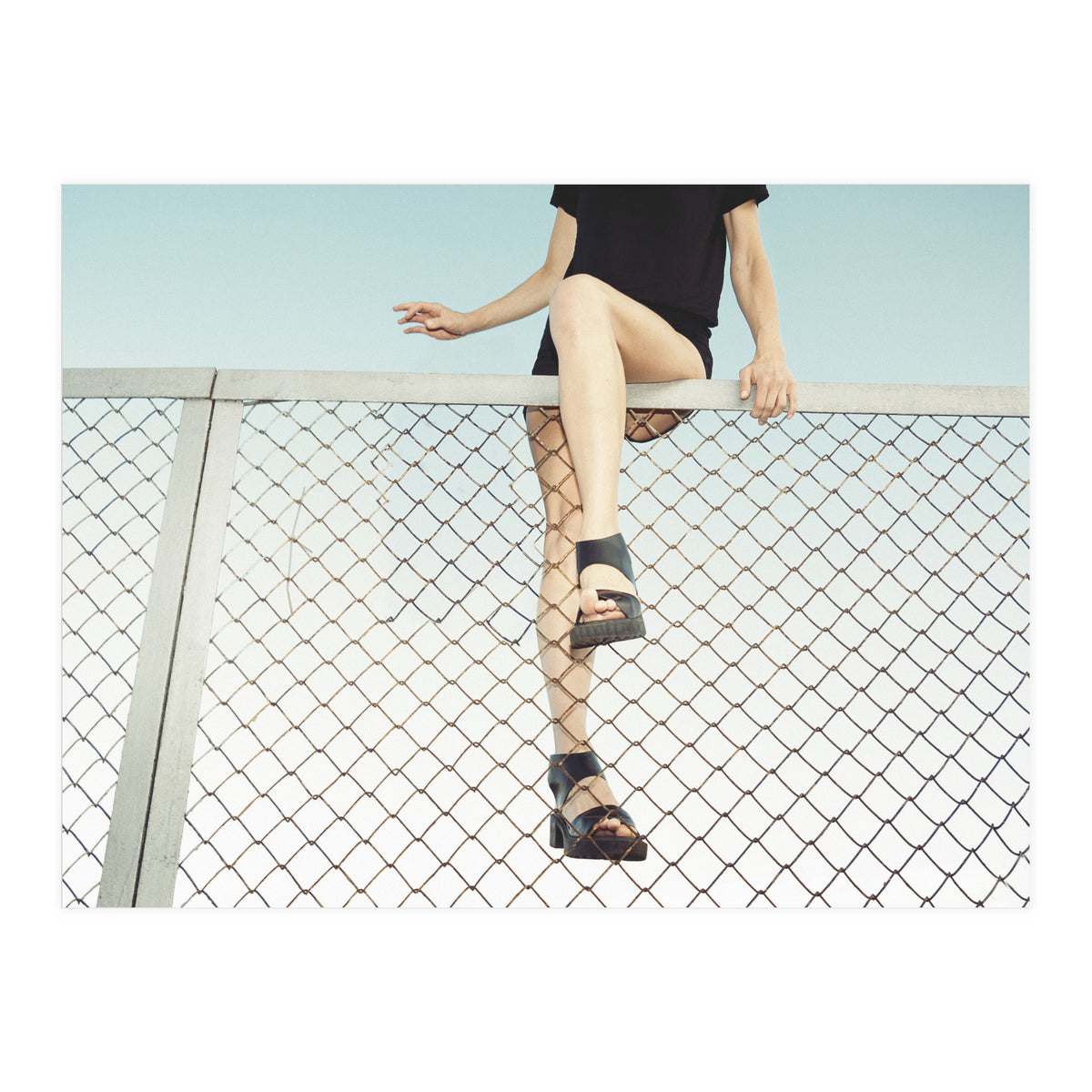 Hoping Fences (Print Only)