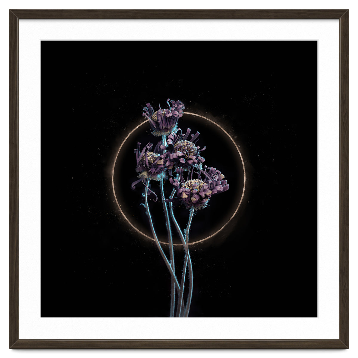 Candy-Coloured Mystery