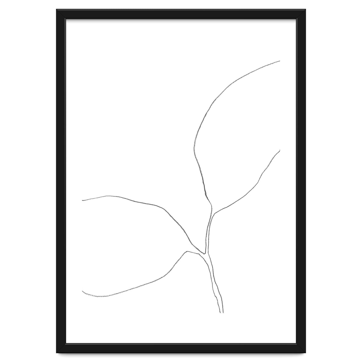 Seedling Leaning Left